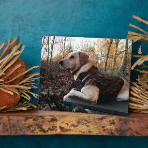 Labrador Retriever Duck Hunter's Ultimate Weapon C Fotoplatte
