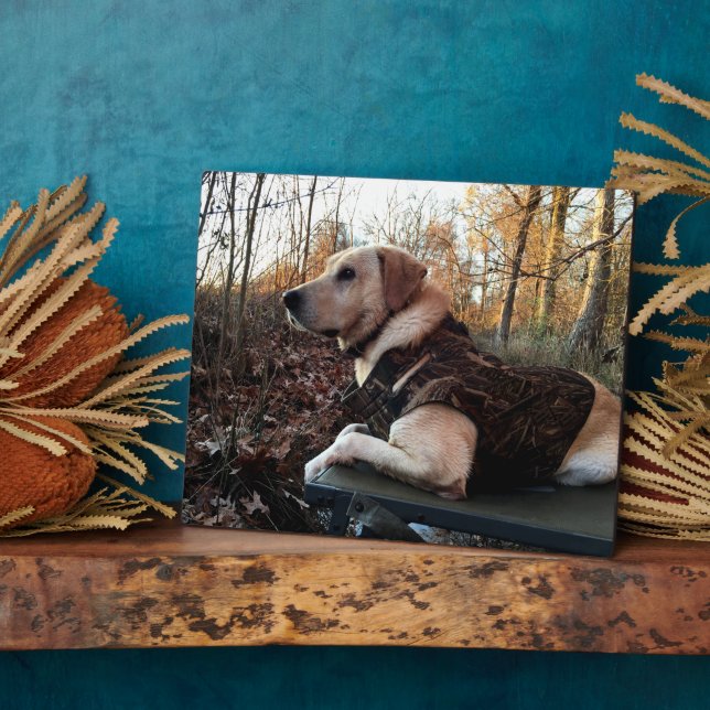 Labrador Retriever Duck Hunter's Ultimate Weapon C Fotoplatte (Seite)