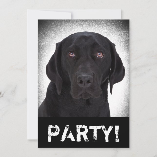 Labrador retriever einladung (Vorderseite)