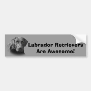 Labrador-Retriever-fantastischer Autoaufkleber