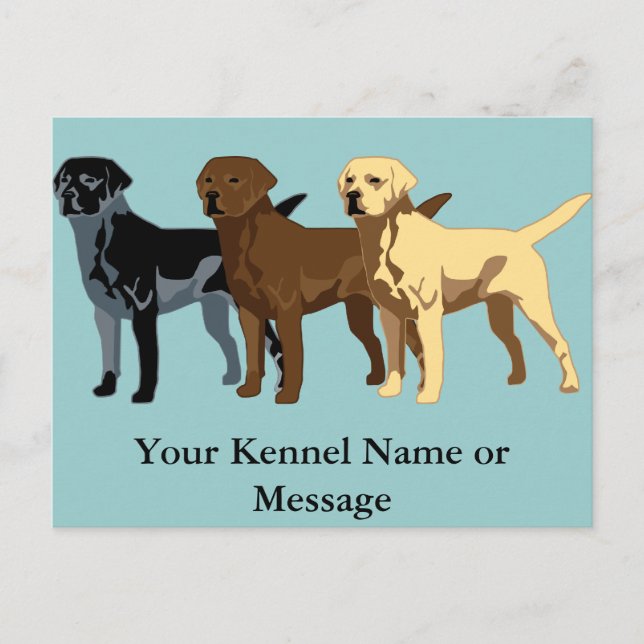 Labrador Retriever Farben Postkarte (Vorderseite)
