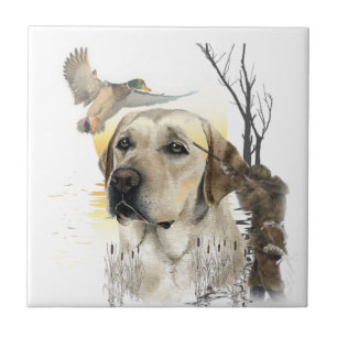 Labrador Retriever Fliese