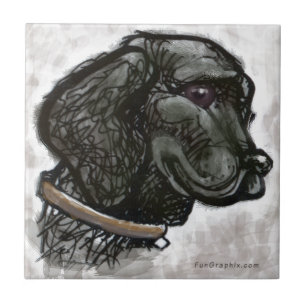 Labrador Retriever Fliese
