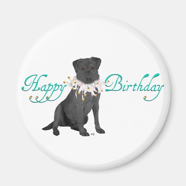 Labrador Retriever Geburtstagsgrüße Magnet (Vorne)