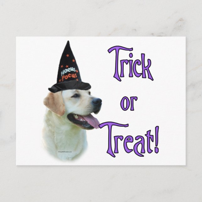 Labrador Retriever (gelb) Trick Postkarte (Vorderseite)