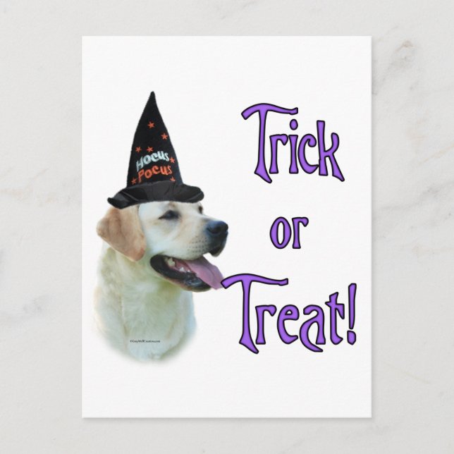 Labrador Retriever (gelb) Trick Postkarte (Vorderseite)