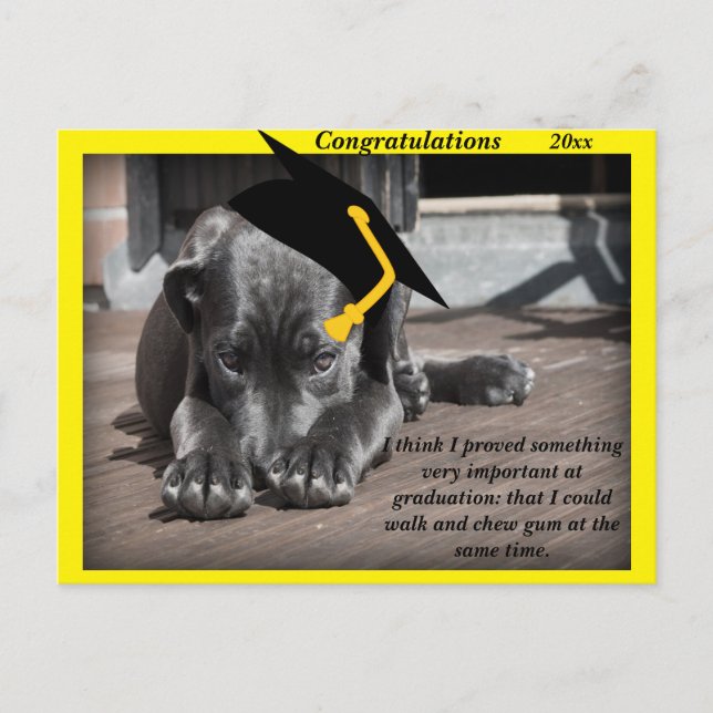 Labrador Retriever gelbe Gratulationshats Postkarte (Vorderseite)