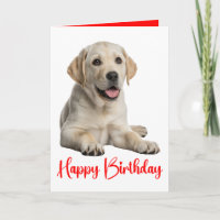 Labrador Retriever Gelber Lab Welpe Hund Geburtsta