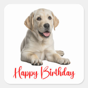 Labrador Retriever Gelber Lab Welpe Hund Geburtsta Quadratischer Aufkleber