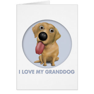 Labrador retriever (gelbes) Granddog