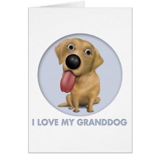Labrador retriever (gelbes) Granddog