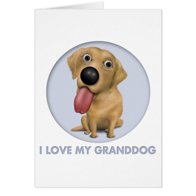 Labrador retriever (gelbes) Granddog (Vorne)
