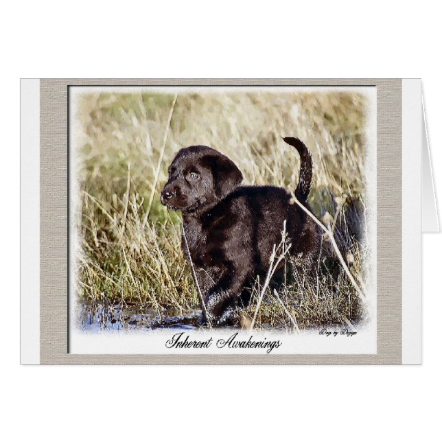 Labrador Retriever Geschenke (Vorderseite (Horizontal))