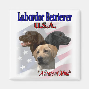 Labrador Retriever Geschenke Magnet