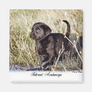 Labrador Retriever Geschenke Magnet