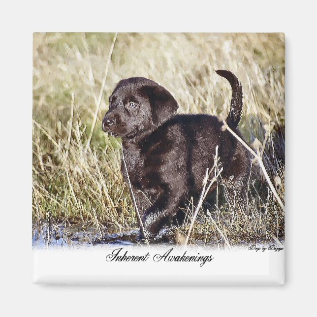 Labrador Retriever Geschenke Magnet (Vorne)