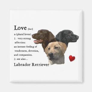 Labrador Retriever Geschenke Magnet