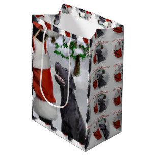 Labrador retriever glauben Weihnachten Mittlere Geschenktüte