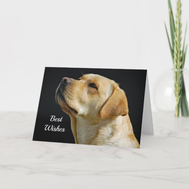 Labrador retriever-Glückwunsch-Hochzeits-Karte Karte (Vorderseite)