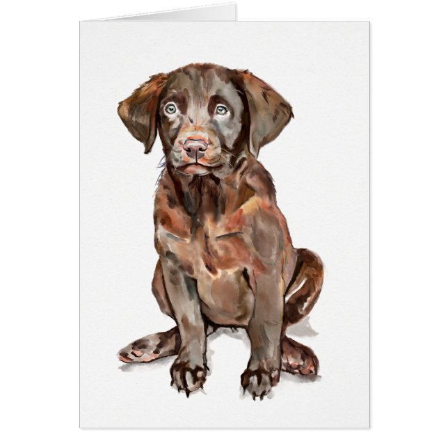 Labrador Retriever Grußkarte (Vorne)