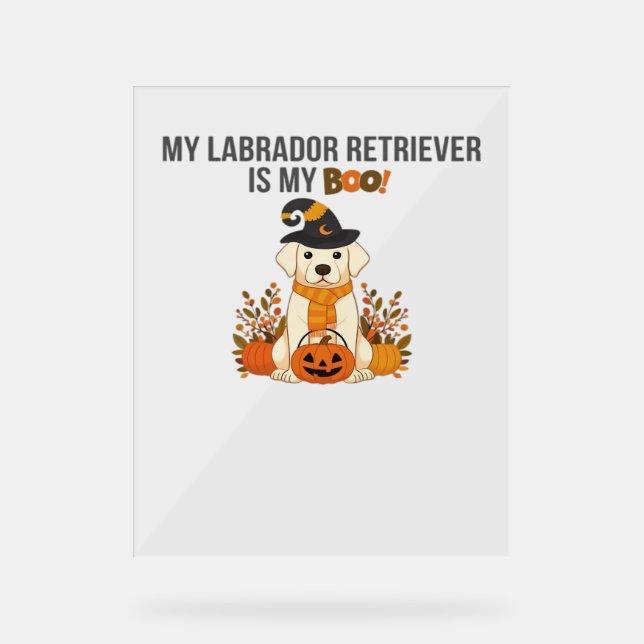 Labrador Retriever Halloween Hund Funny Spooky Boo Acrylschild (Vorderseite)