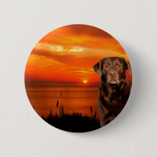 Labrador Retriever Hund sitzend neben Sonnenunterg Button