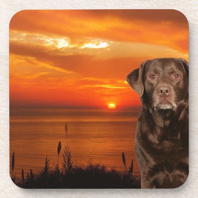 Labrador Retriever Hund sitzend neben Sonnenunterg Untersetzer (Vorderseite)