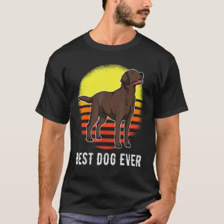 Labrador Retriever Hund Sonnenuntergang 34 T-Shirt