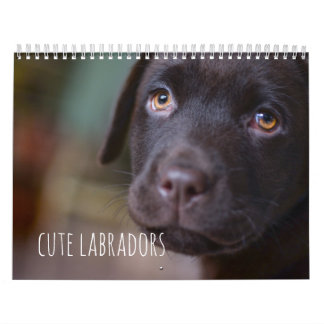Labrador retriever-Hundekalender - kundengerecht Kalender