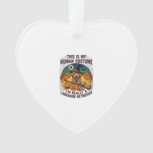 Labrador Retriever im Menschenkostüm Halloween Hex Ornament