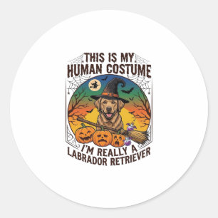 Labrador Retriever im Menschenkostüm Halloween Hex Runder Aufkleber