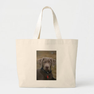Labrador retriever im seltenen hellen Silber Jumbo Stoffbeutel