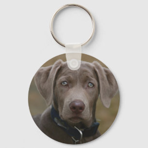 Labrador retriever im seltenen hellen Silber Schlüsselanhänger