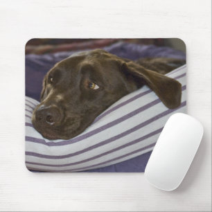 Labrador Retriever in Bed Mousepad