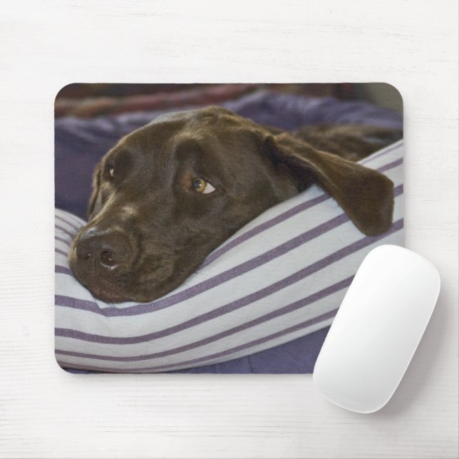 Labrador Retriever in Bed Mousepad (Mit Mouse)