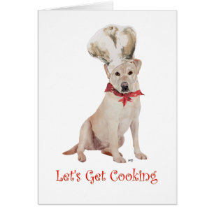 Labrador Retriever Jaune Cuisine