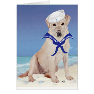 Labrador Retriever Jaune Marin