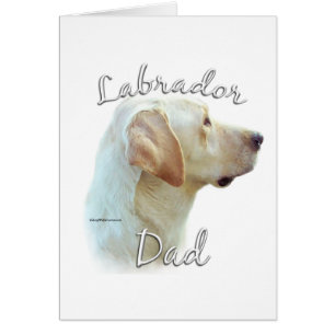 Labrador Retriever (jaune) Papa 2