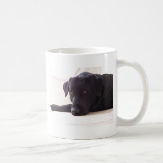 labrador retriever kaffeetasse