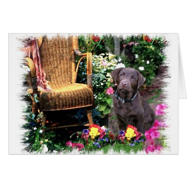 Labrador Retriever Kunstgeschenke (Vorderseite (Horizontal))
