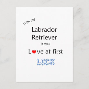 Labrador Retriever Liebe in First Lick Postkarte