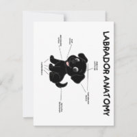 Labrador Retriever Lustige Anatomie Cartoon
