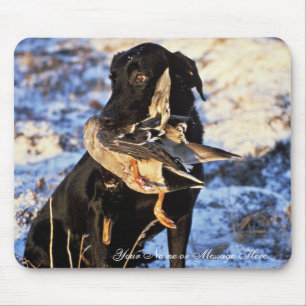 Labrador retriever mit Drake-Stockente Mousepad