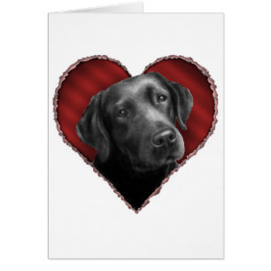Labrador retriever mit Herzen