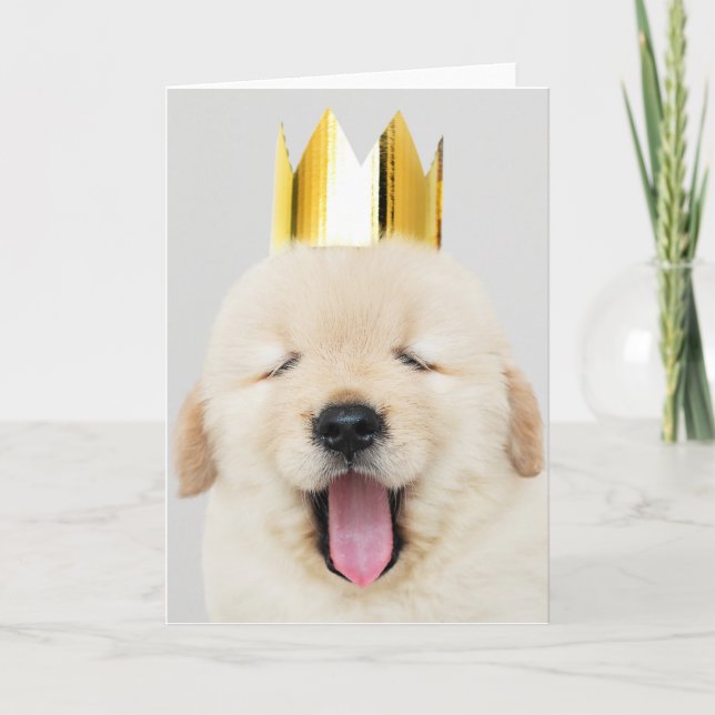 Labrador retriever MIT KRONE gefalteter Gruß-Karte Karte (Vorderseite)