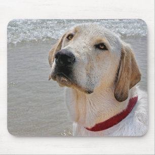 Labrador Retriever Mousepad