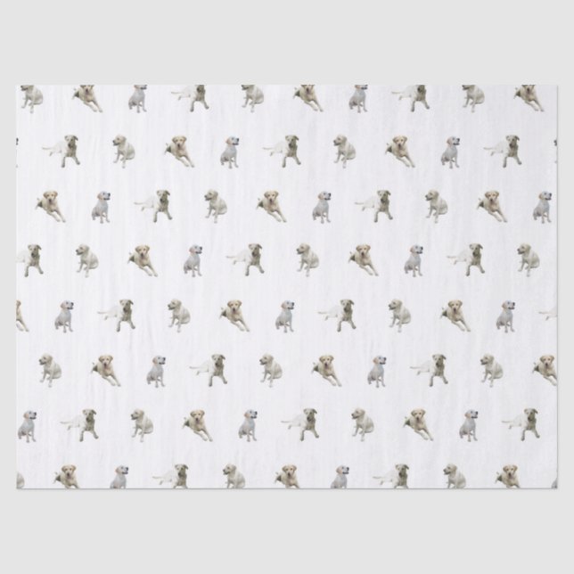 Labrador retriever-Muster (weiß) Seidenpapier (Vorderseite)