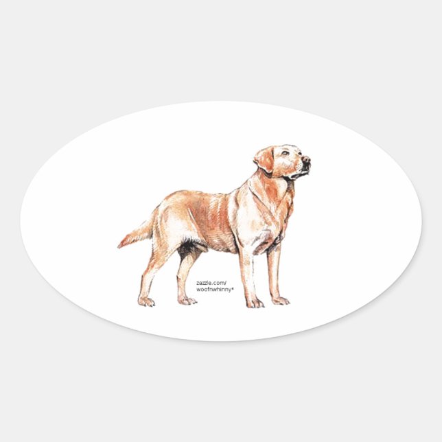 Labrador Retriever Ovaler Aufkleber (Vorderseite)