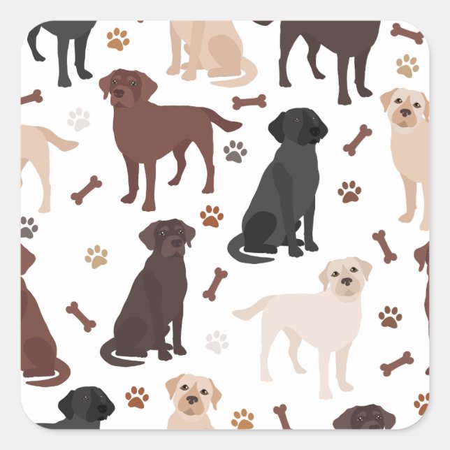 Labrador Retriever Paws and Bones Square Sticker (Vorderseite)