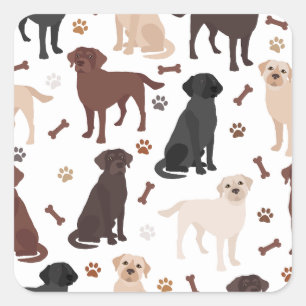 Labrador Retriever Paws and Bones Square Sticker